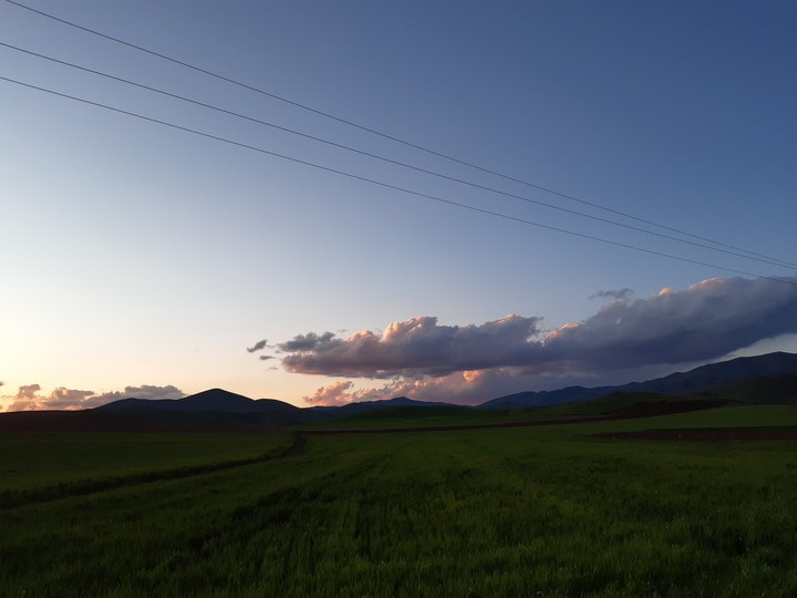nature