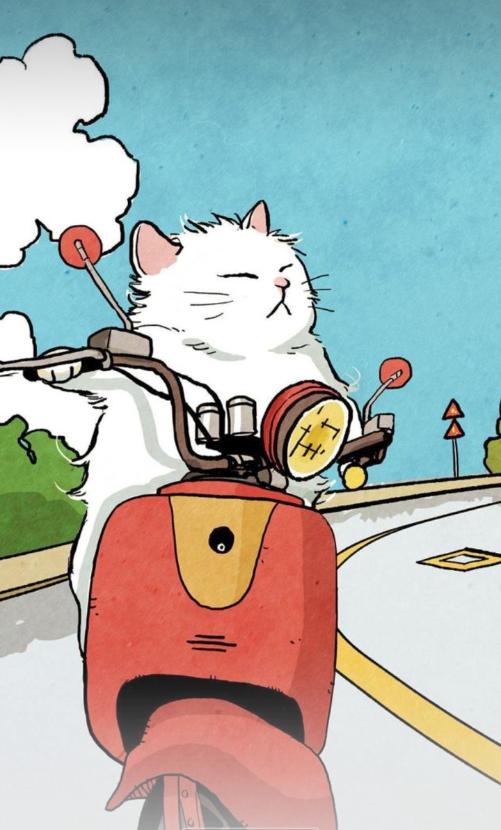 cat