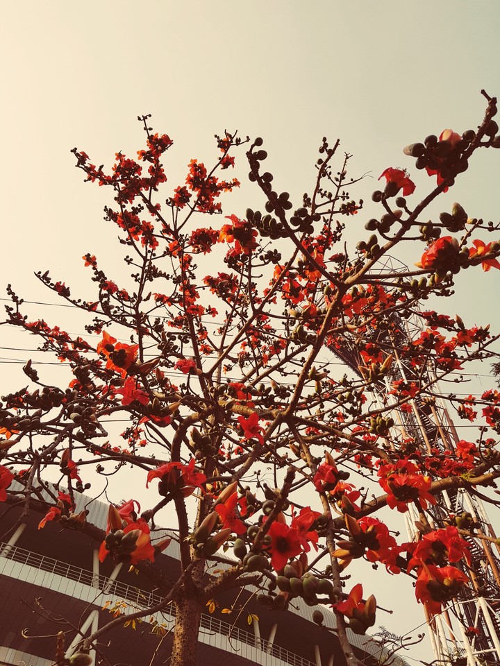 ~ Spring ~