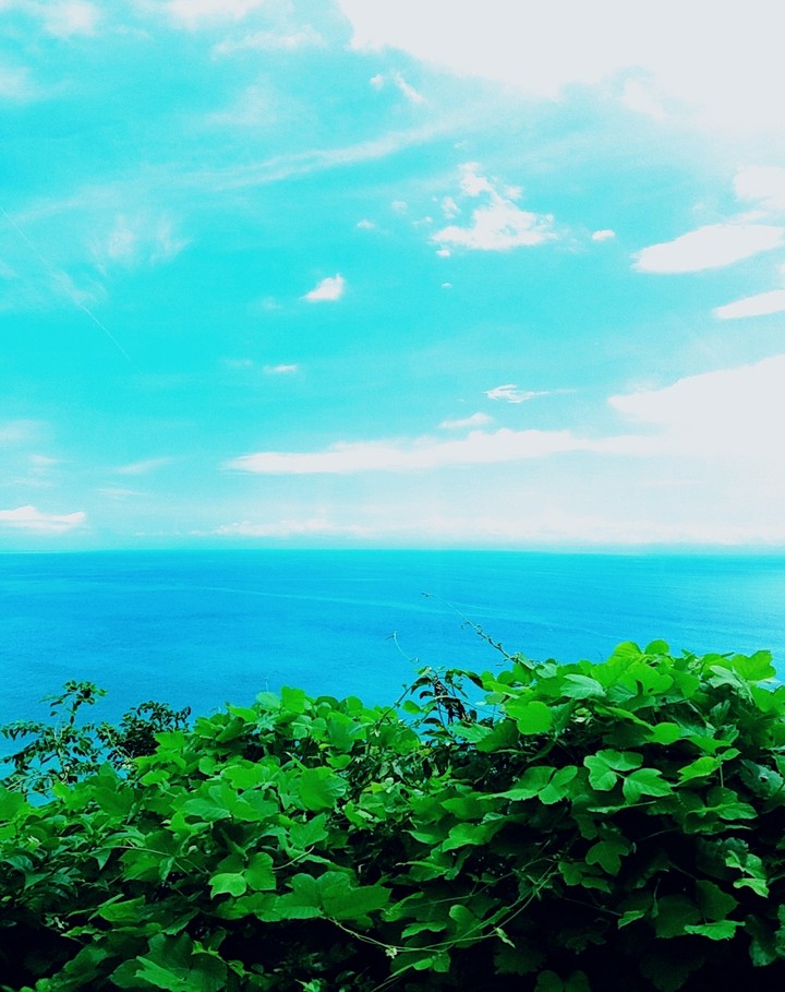 静岡の海