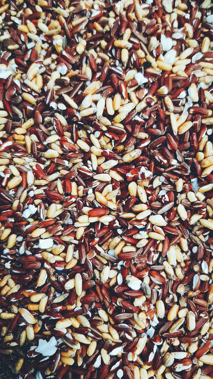 rice