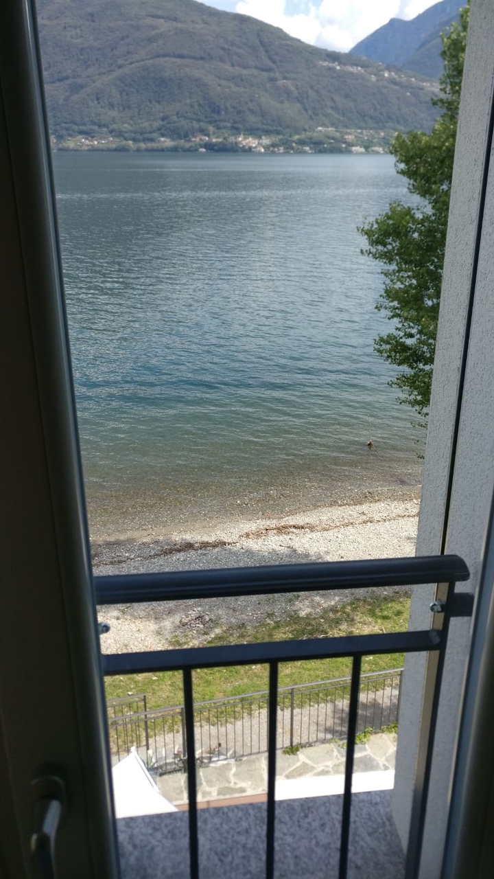 window view