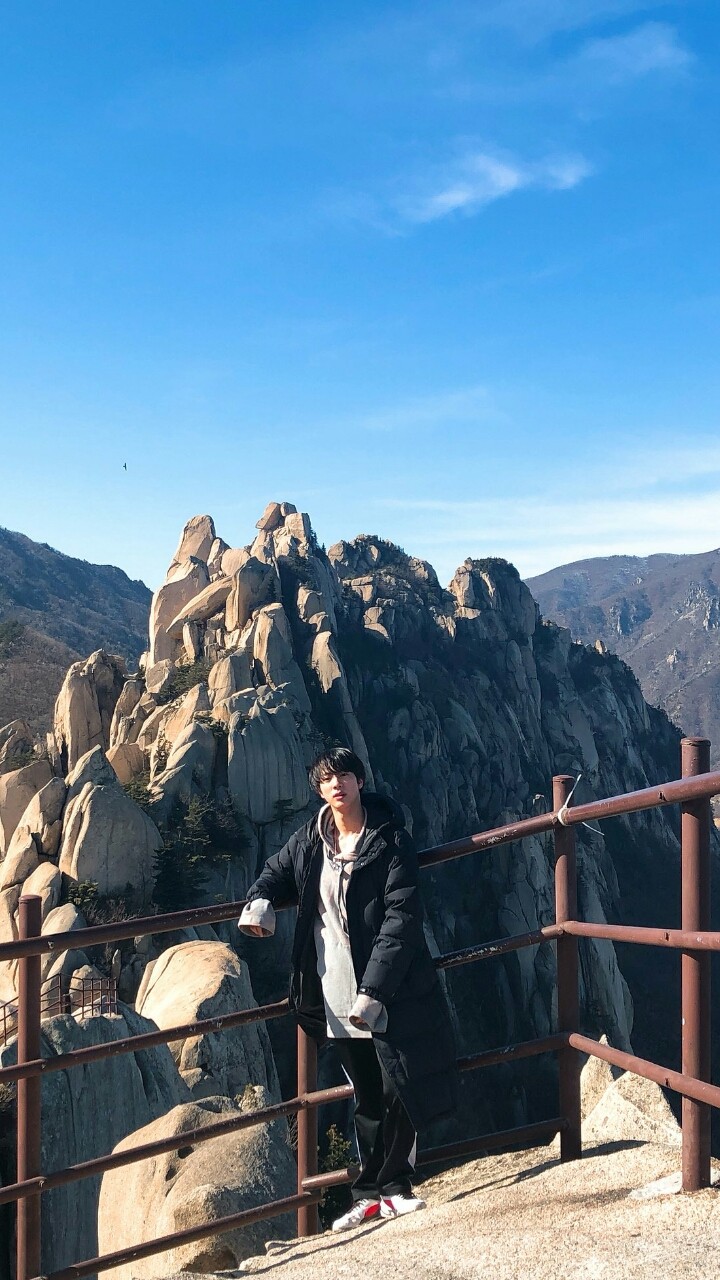 BTS Jin