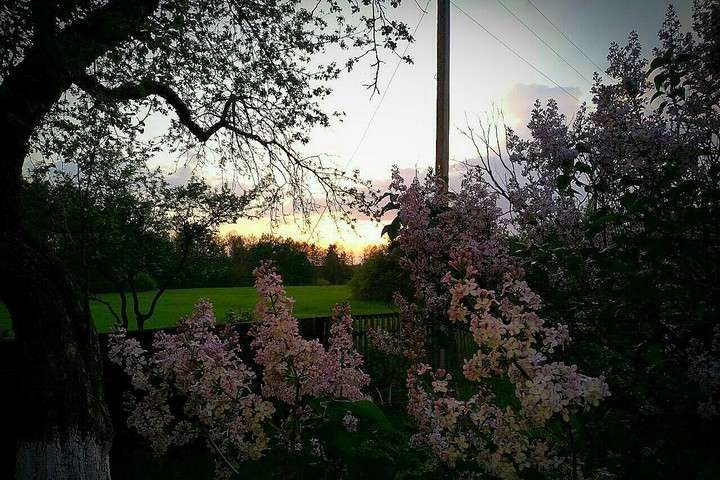 Beauty sky