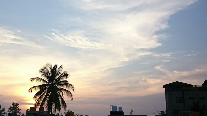 The winter sun