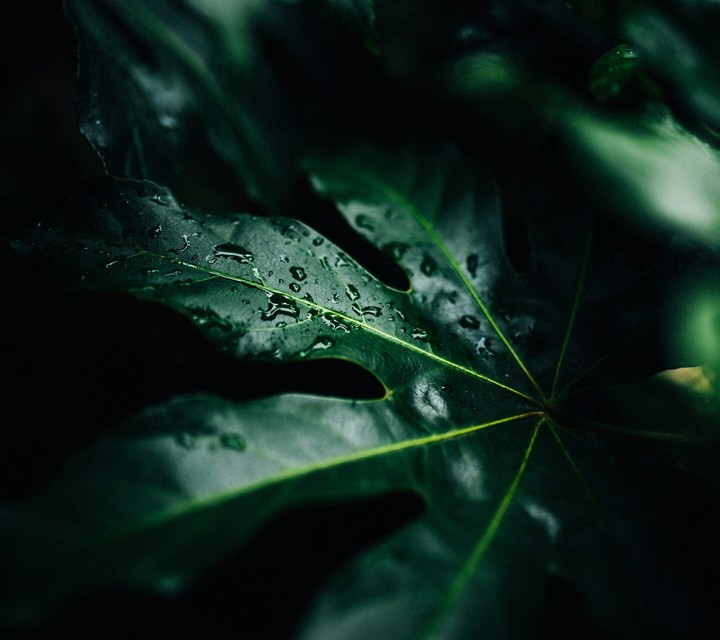 green