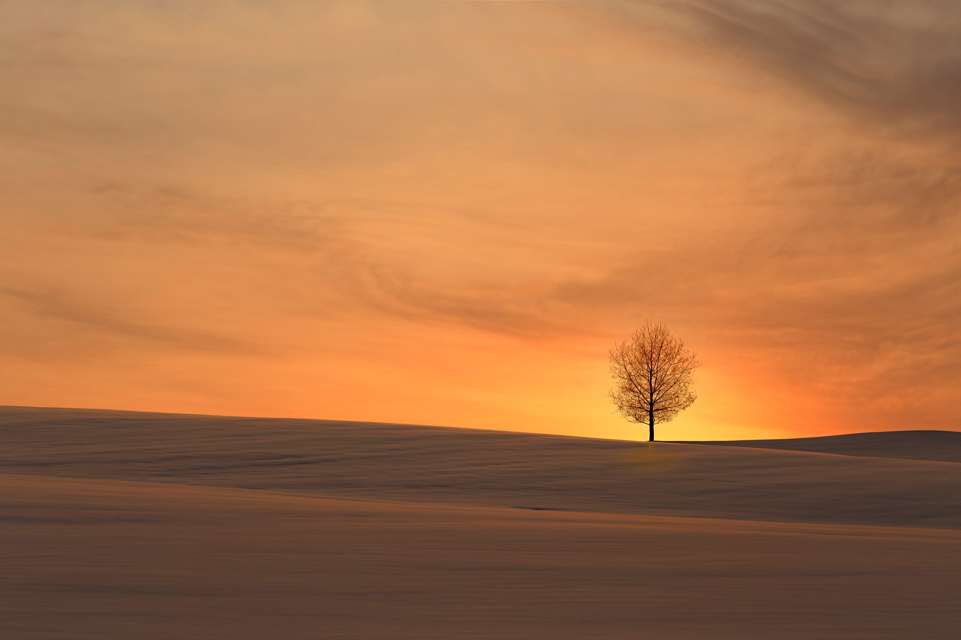 Desert at Sunset