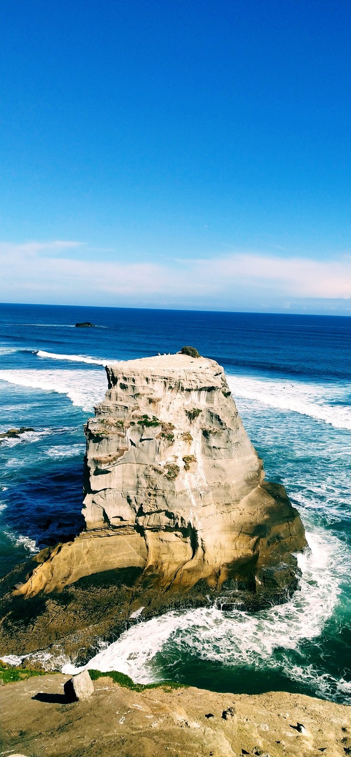 Bird Rock