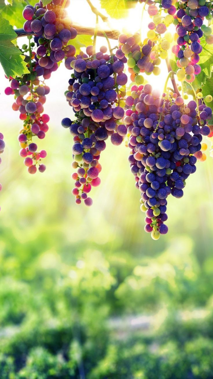 Grape