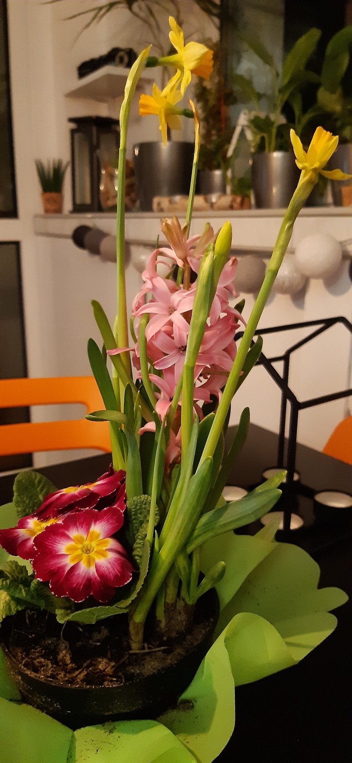 flowers