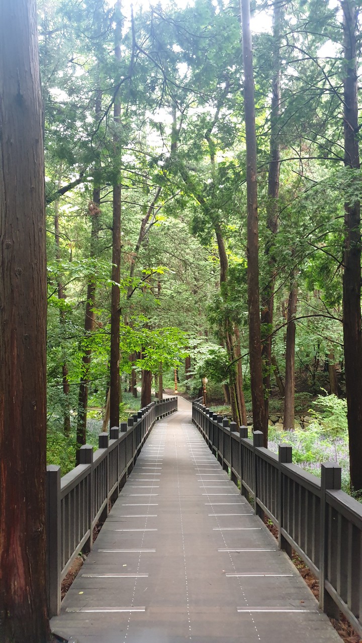 nature