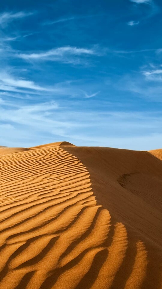 desert