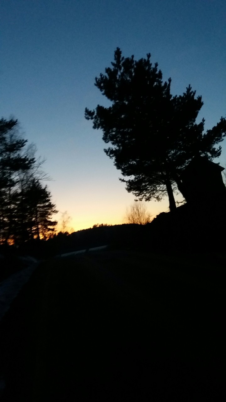 Sunset vol.2