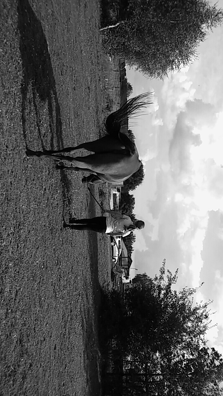 ... true life. Horses are friends for ever, but poeple...