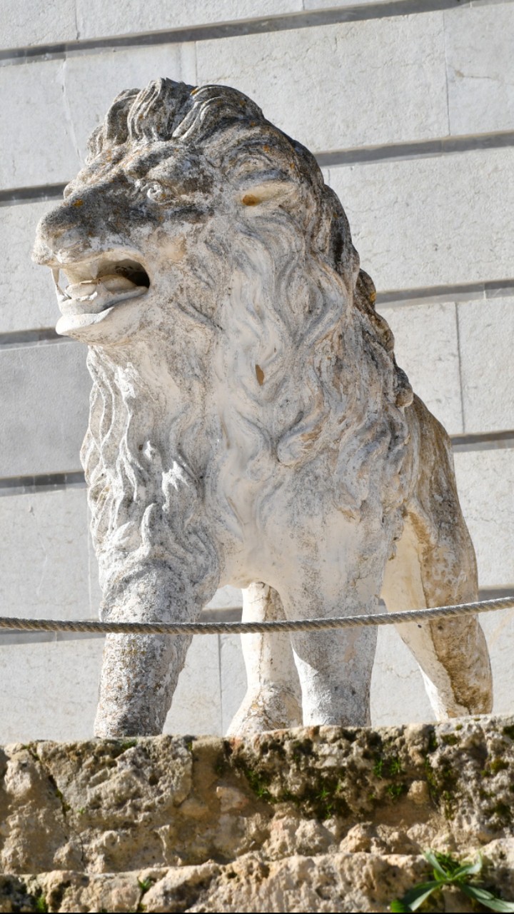 pareja leon