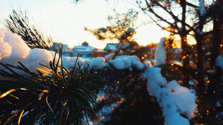 winter