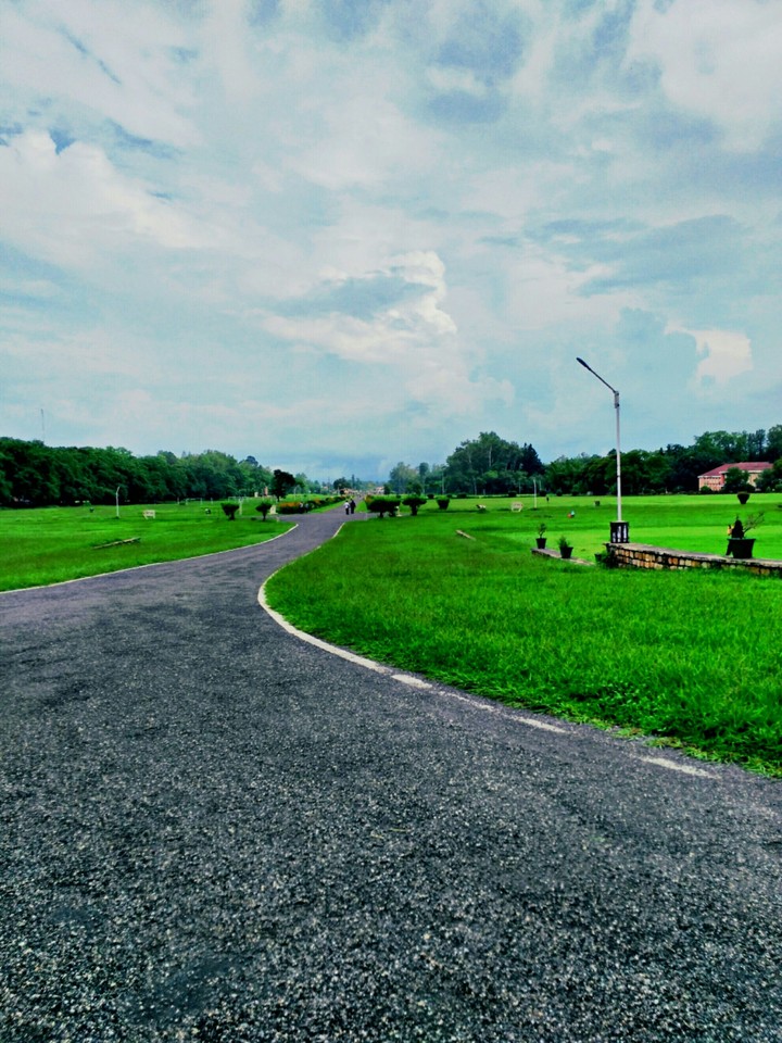 Landscape