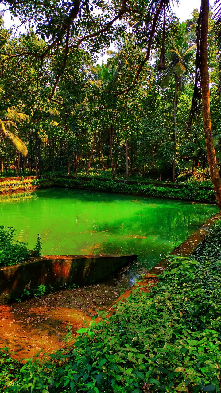 kerala beauty