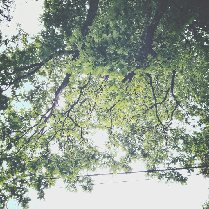 Summer vibes