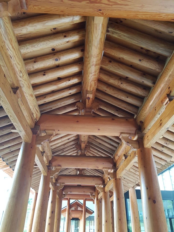 in Buyeo