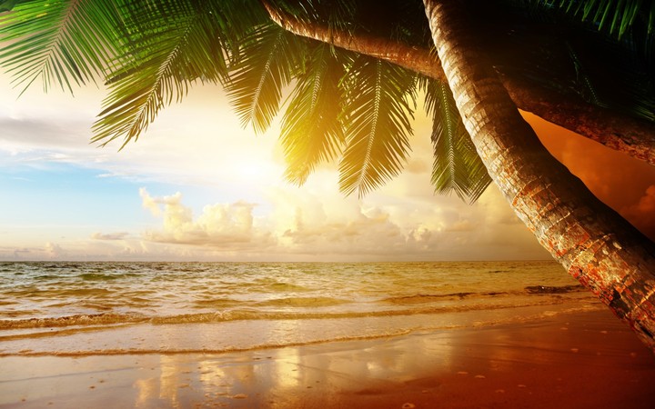 Paradise Island