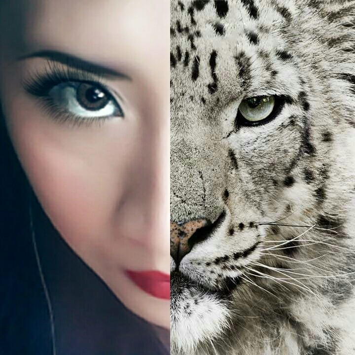 lady