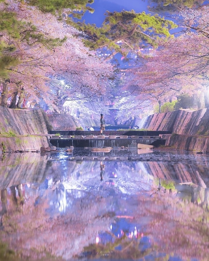 Japan beauty