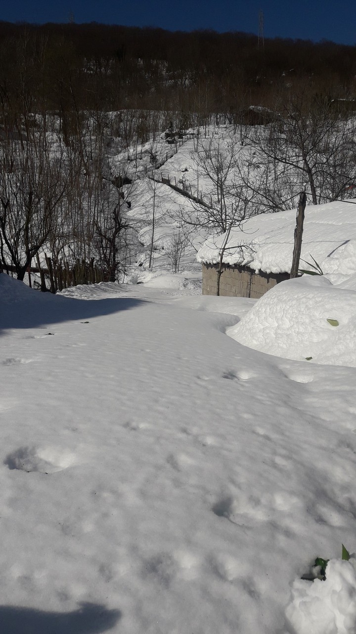 snow in iran,guilan