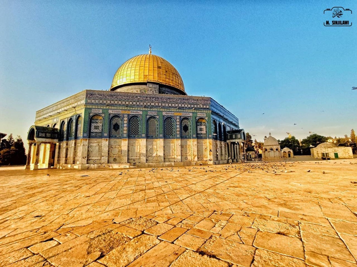 free palestine