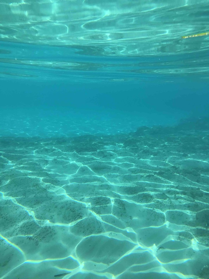 Sardegna