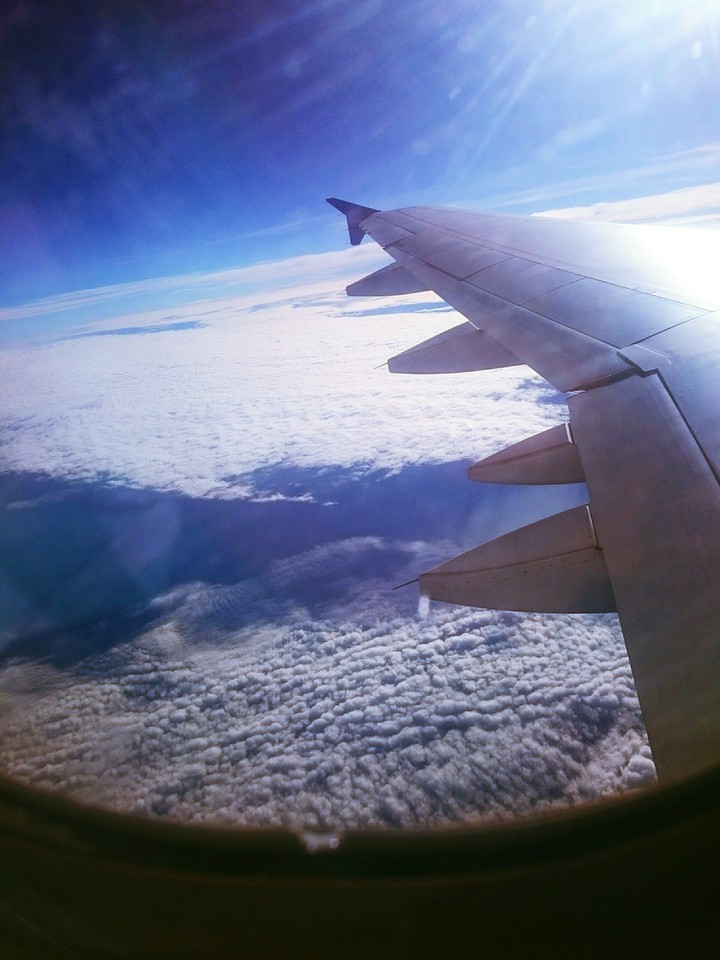 Delhi Bangalore Flight