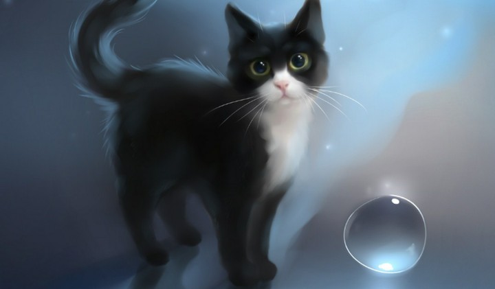 cute cat