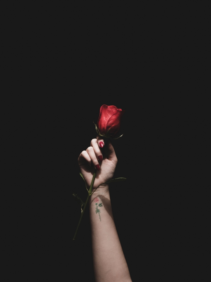 Rose
