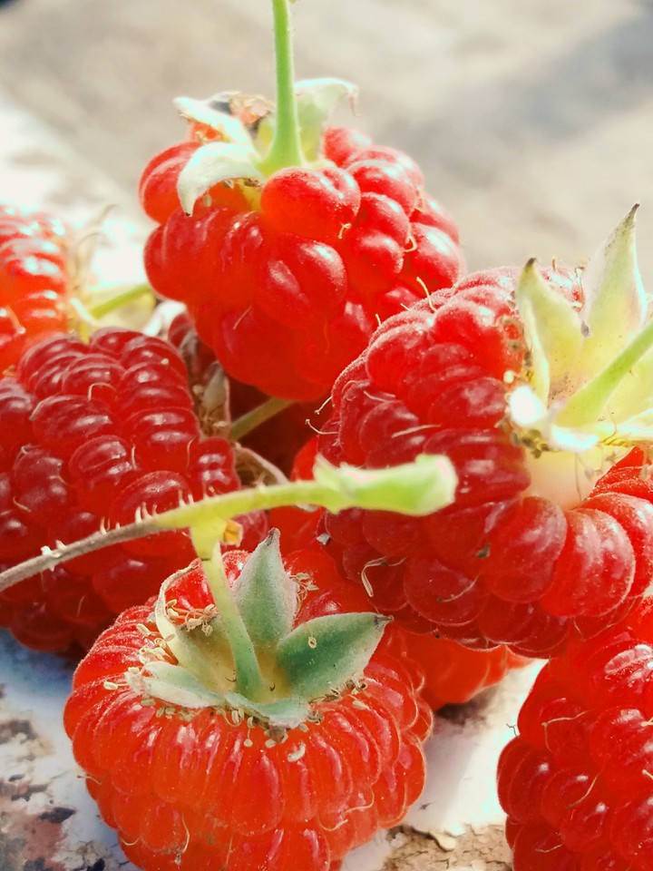 Raspberries