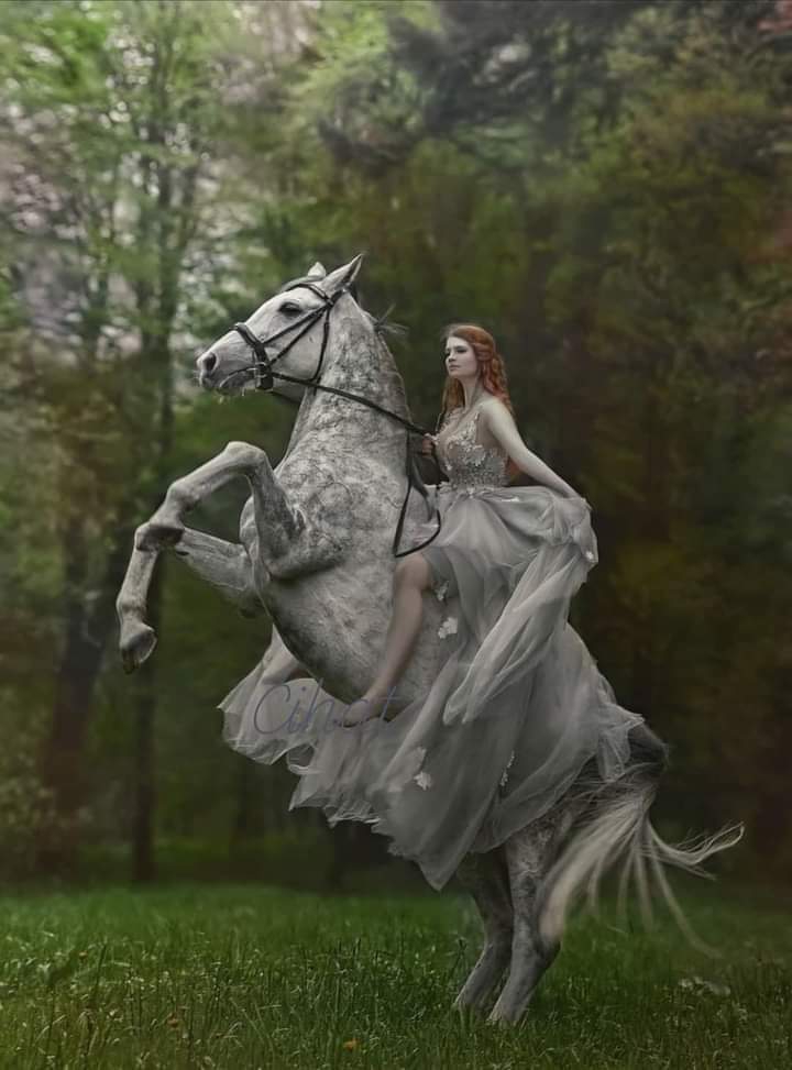 together so noble and elegant❣