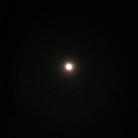 moonlight