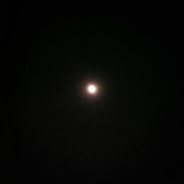 moonlight