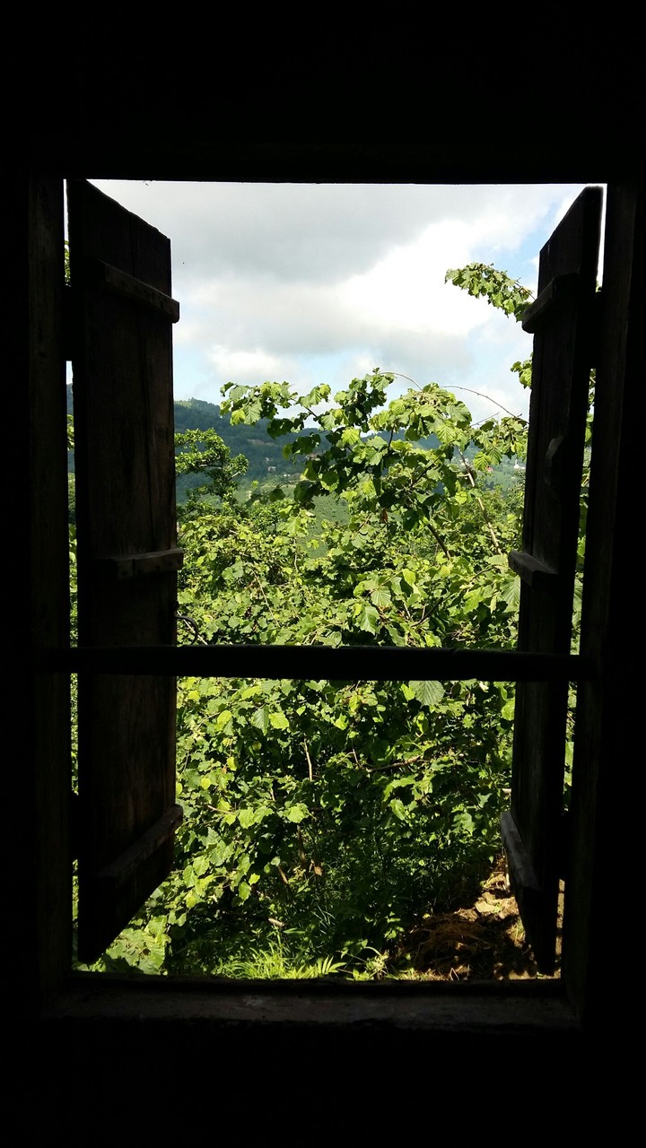 PENCERE