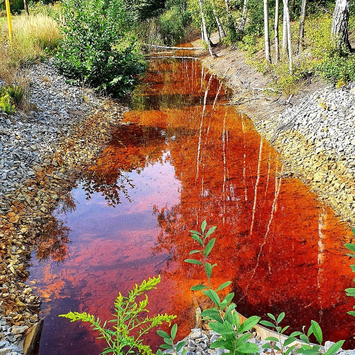 Little red stream