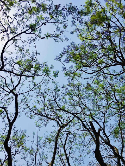 Beauty of Nature