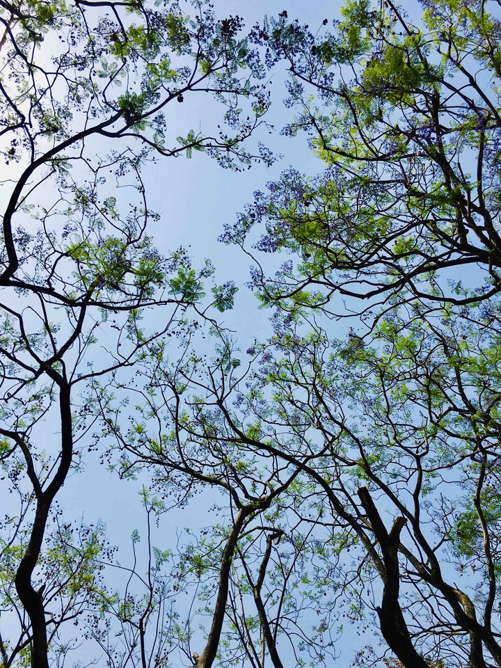 Beauty of Nature