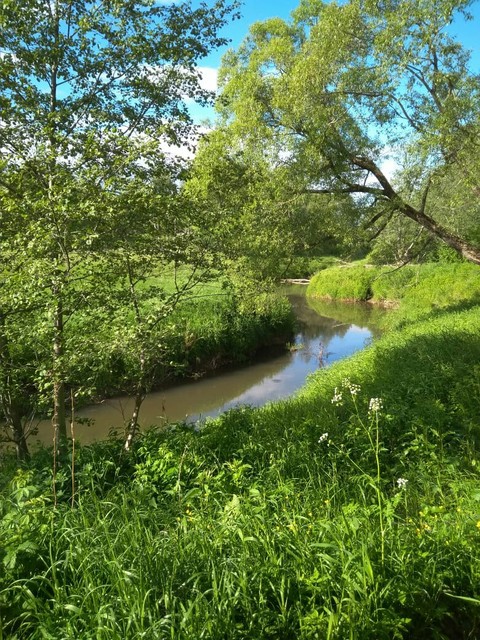 nature