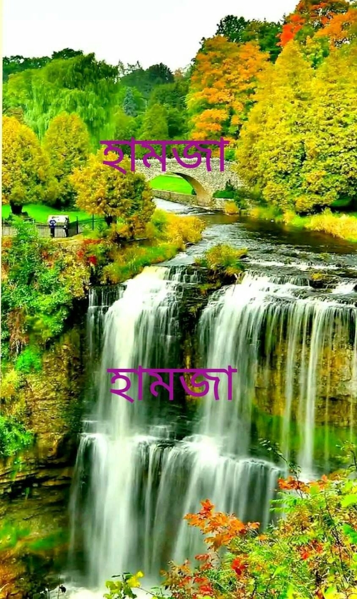 ৬