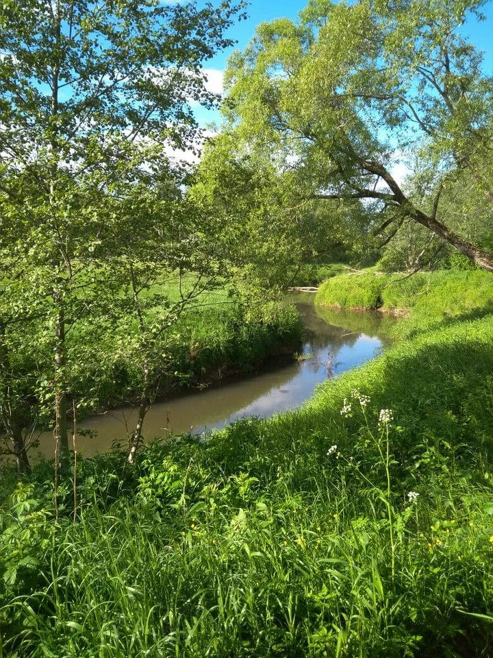 nature