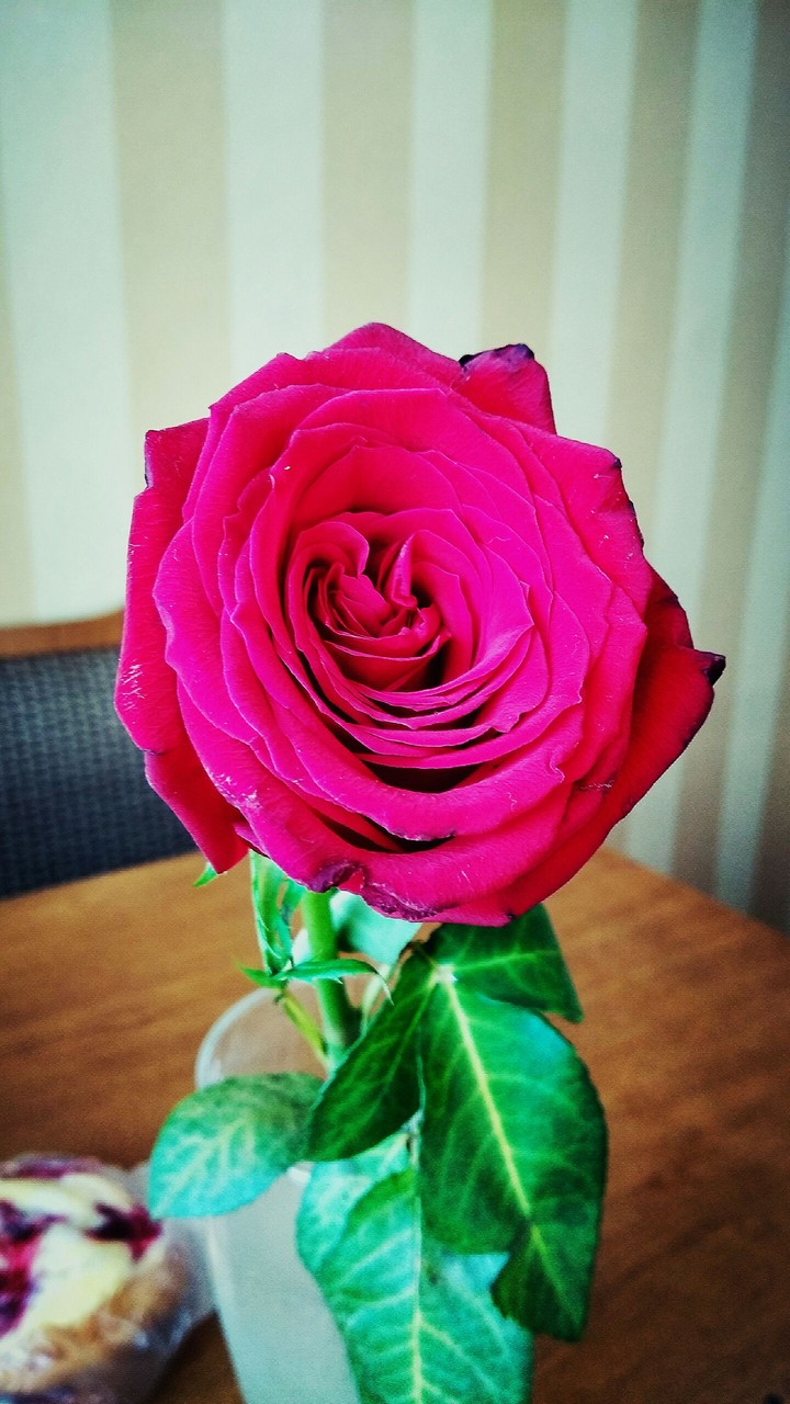 rose