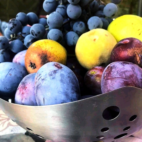 Autumn delights