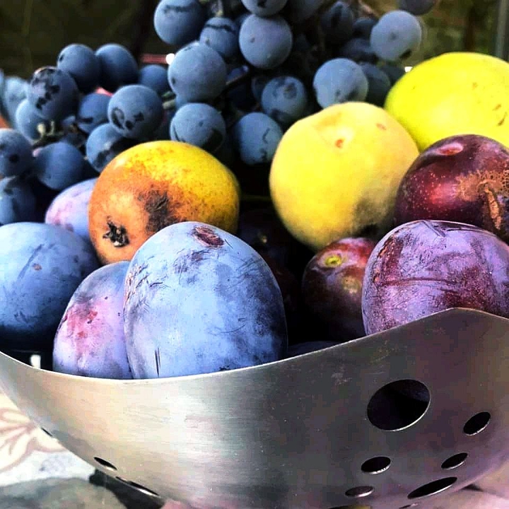 Autumn delights