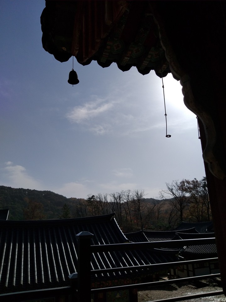봉선사