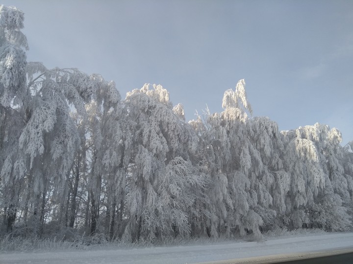 Зимняя красота 2