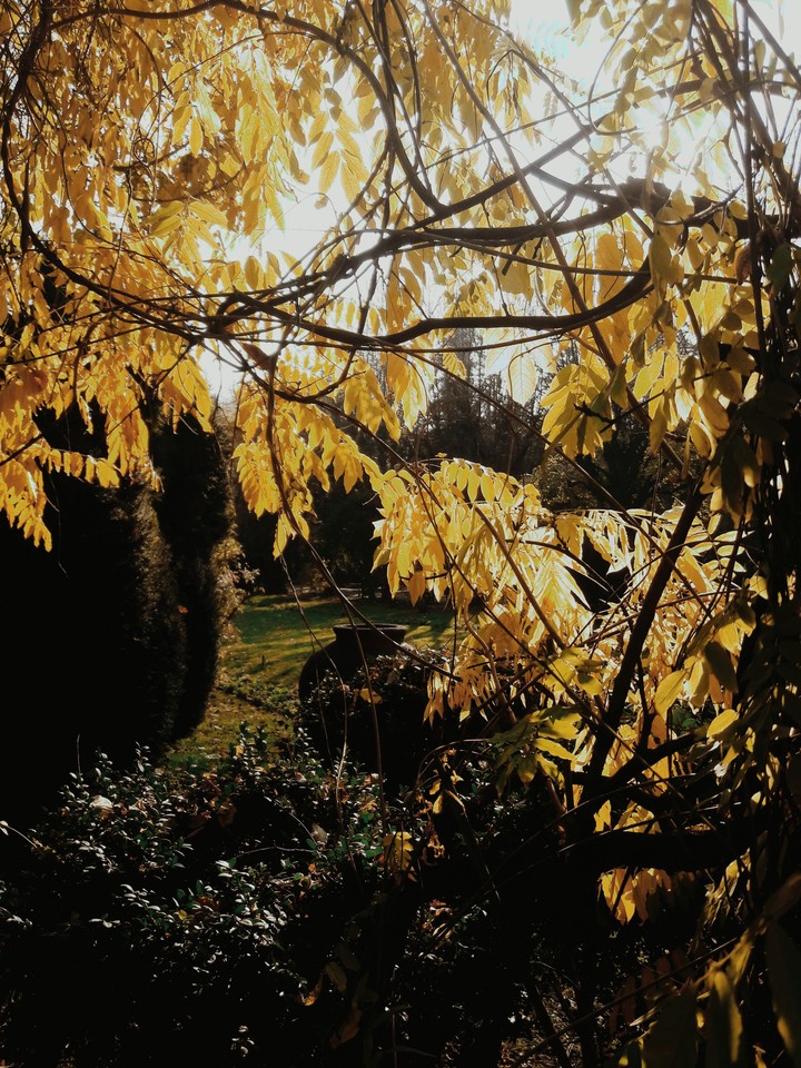 autumn